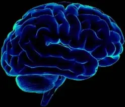 New Study Finds Traumatic Brain Injury May Increase the Risk of Suicide