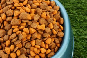 Pet Food Company Faces Class Action Lawsuit Over Toxic Levels of Vitamin D That Led to Pet Illnesses and Deaths