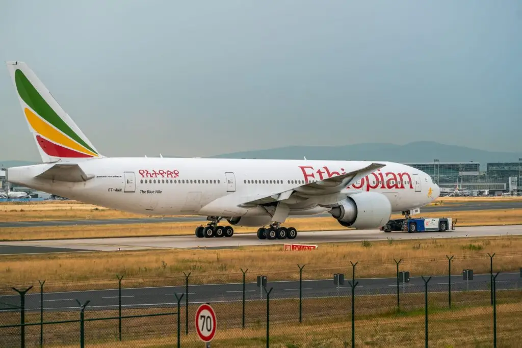 Ralph Nader's Grandniece Was Among Those Killed in Ethiopian Airlines Crash