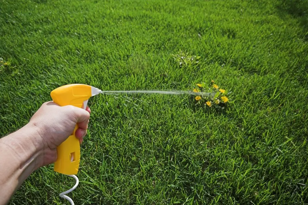 California Man Sues Monsanto Over Roundup Weed Killer After Developing Cancer