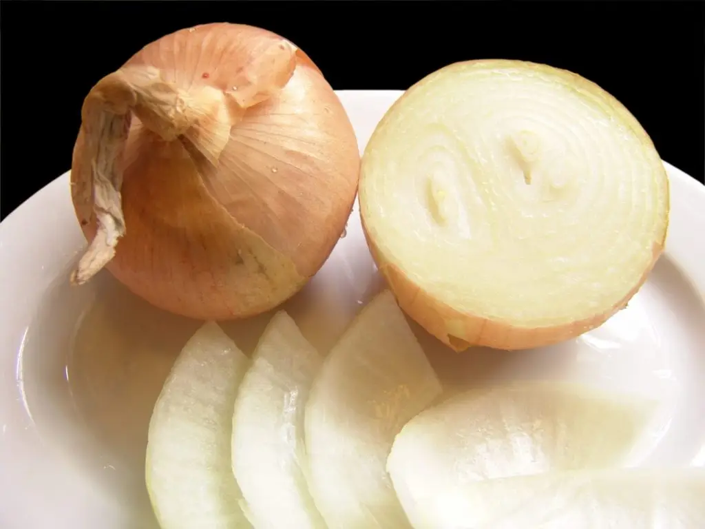 Onion Chopper Pro Recalled After Consumers Report 137 Injuries