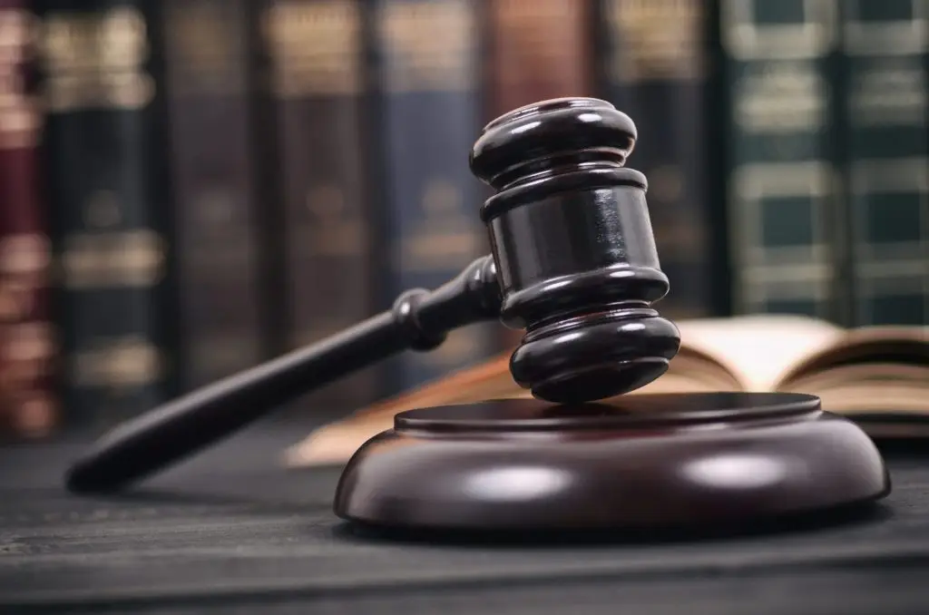 Judge Approves $28 Million Settlement for Family of Woman Killed by Falling Tree in Whittier Park