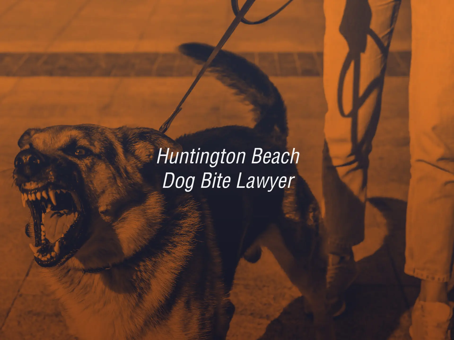 Huntington Beach Dog Bite Lawyer