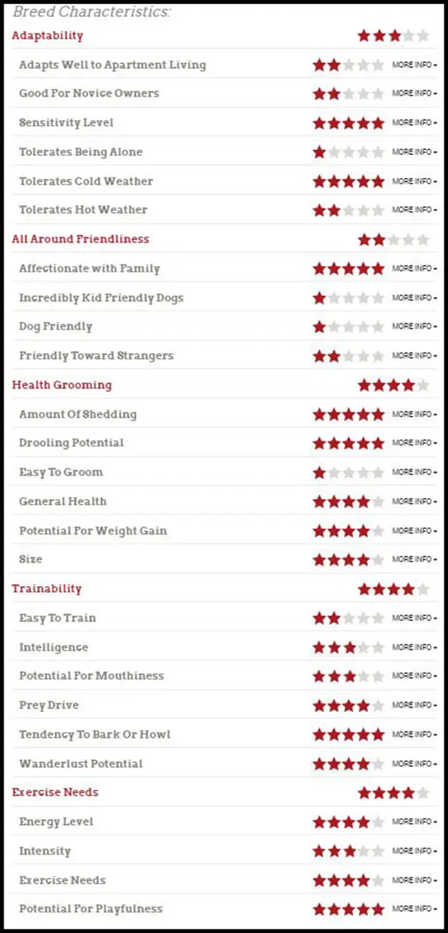 akita breed characteristics infographic