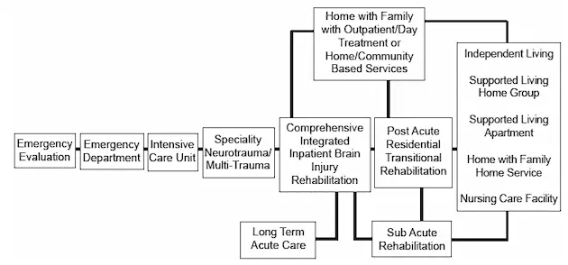 a brain injury treatment graph