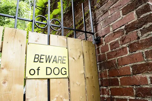 nationwide dog bite statistics
