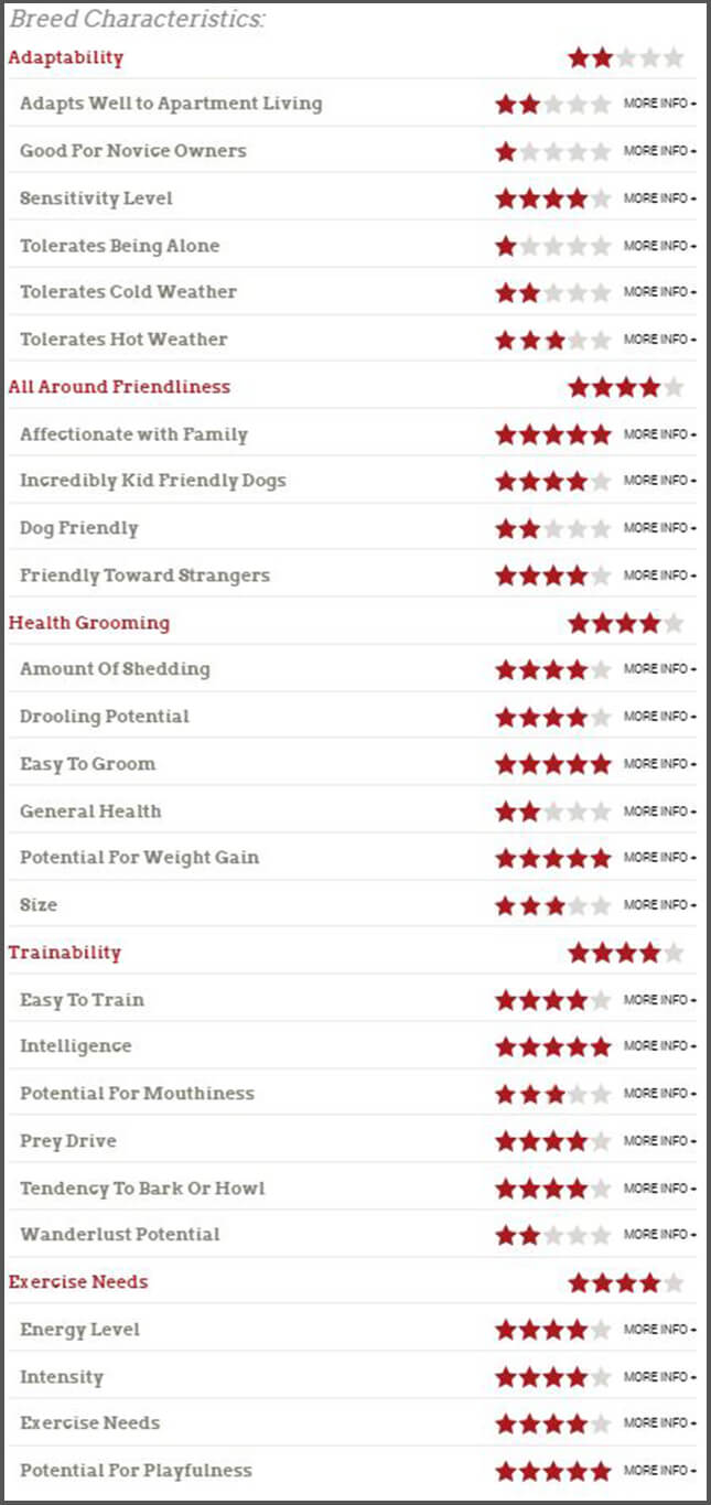 rottweiler characteristics