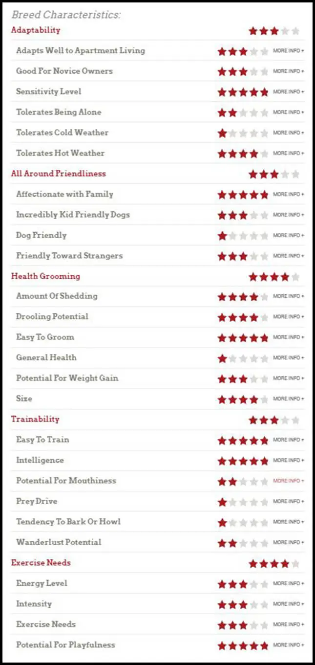 doberman breed characteristics chart