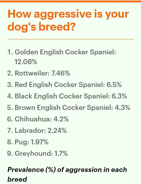 Most aggressive breeds study