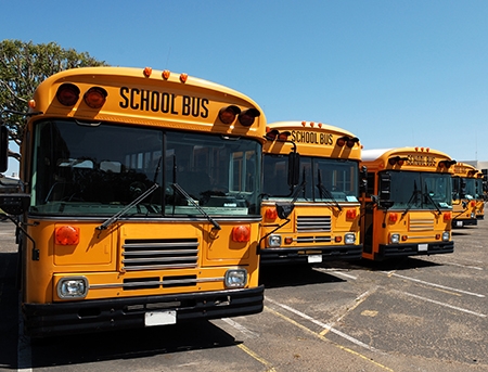 A row of school buses parked outside an Orange County school.