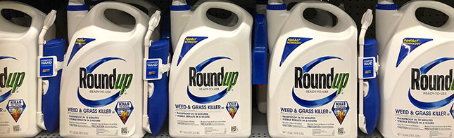 Roundup Cancer Lawyers