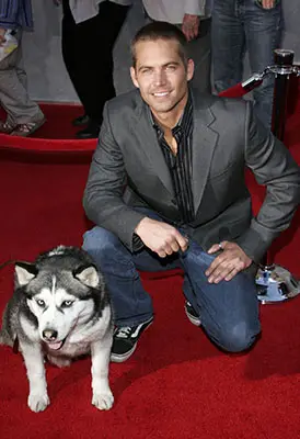 Actor Paul Walker with his Siberian Husky co-star at the movie premiere of Eight Below.