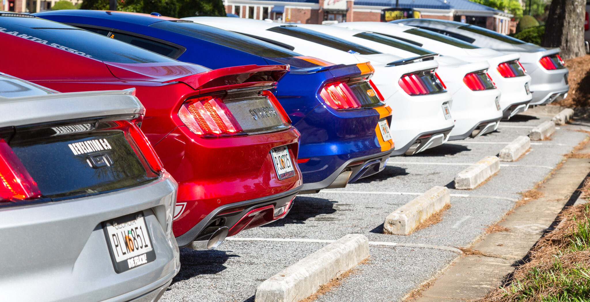 Ford Recalls 330,000 Mustang Cars for Faulty Backup Cameras