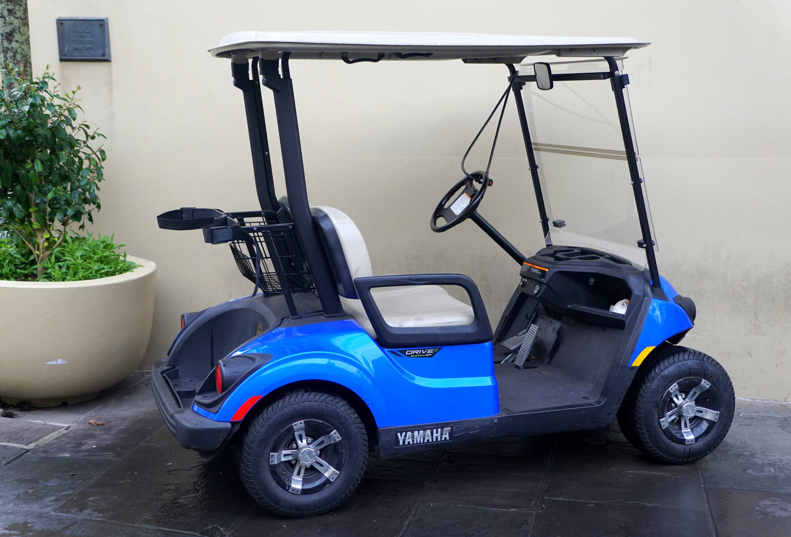 2020 Golf Cart Golf Cart