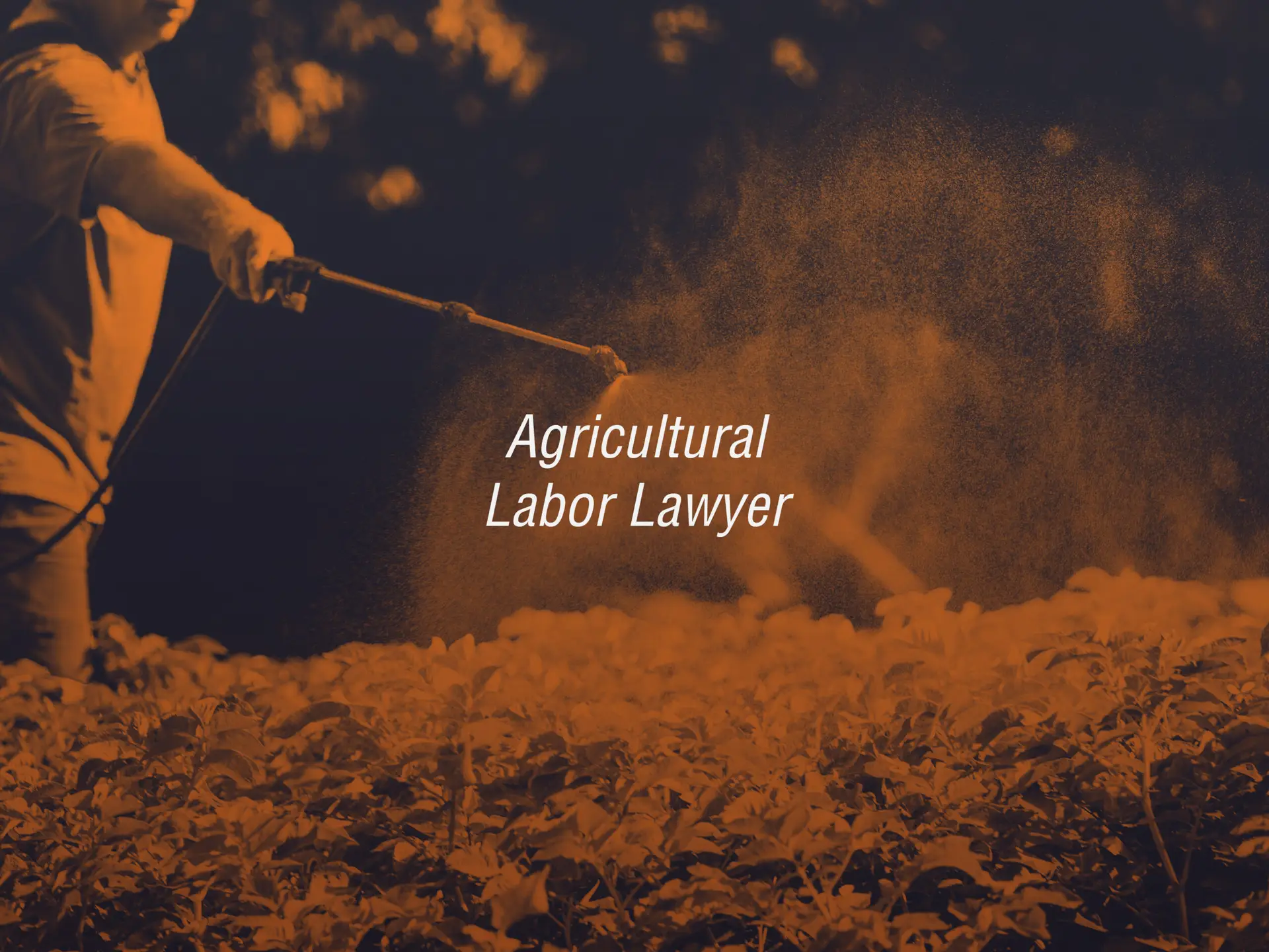 Farm worker spraying crops