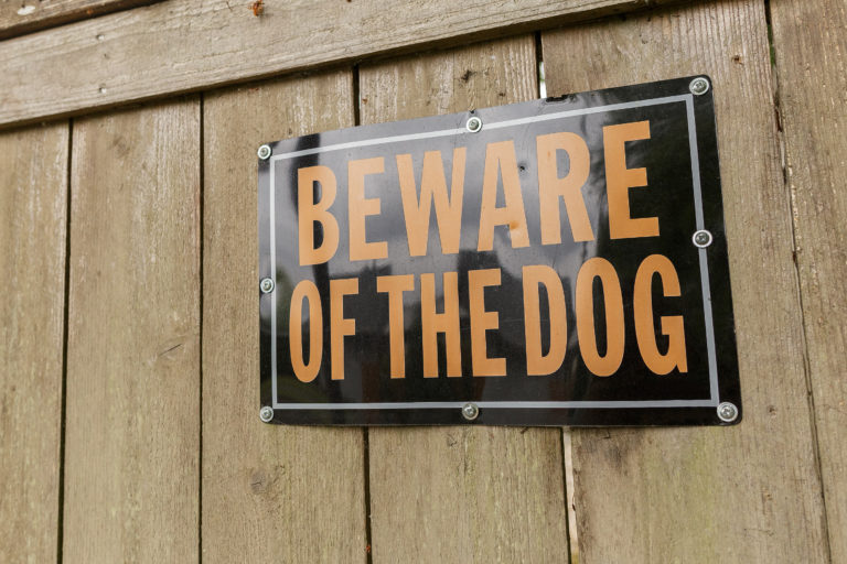 Beware of the dog sign on a fence