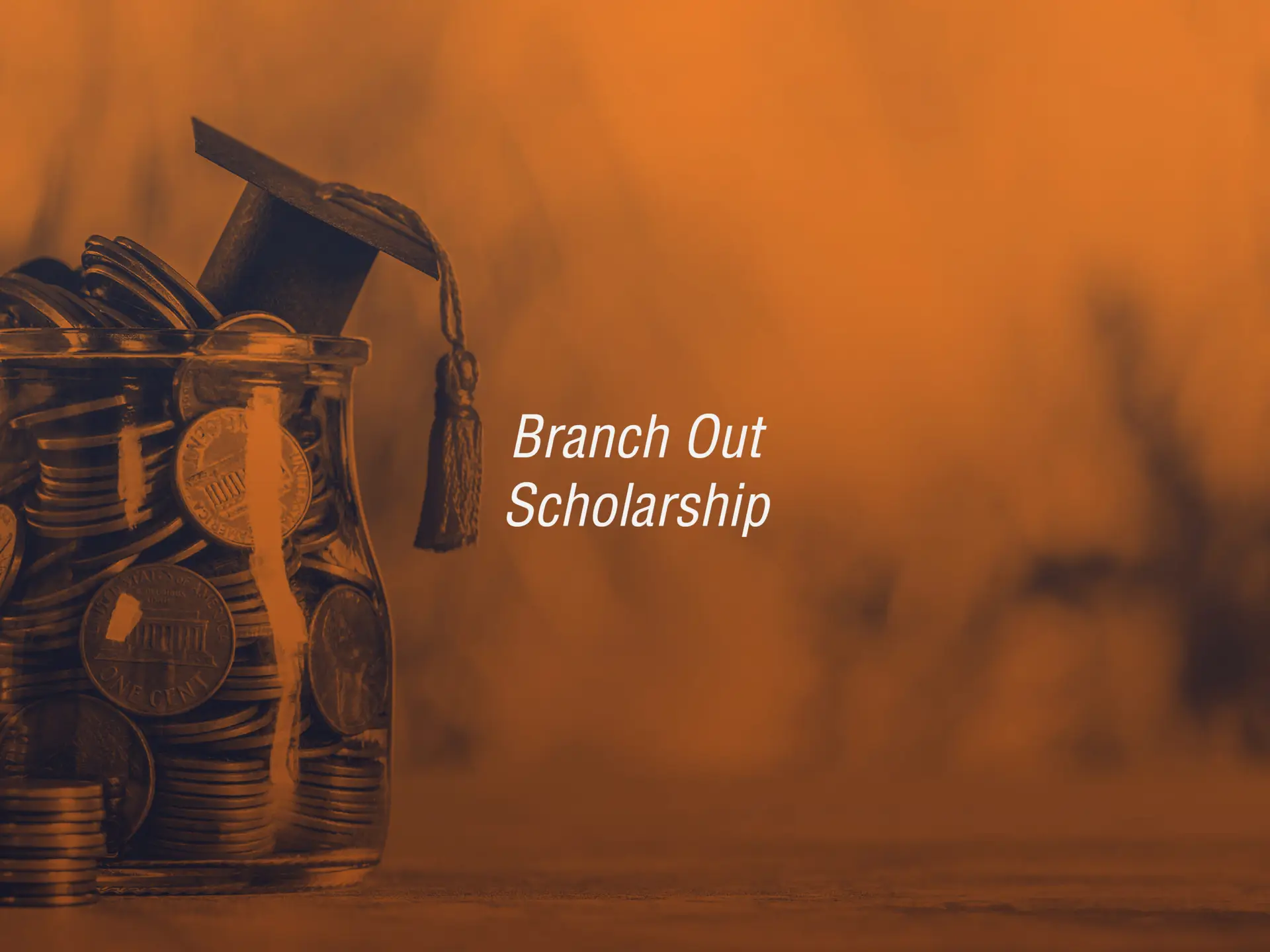 Bisnar Chase Branch Out Scholarship