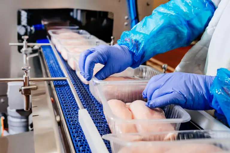 A poultry plant conveyor belt