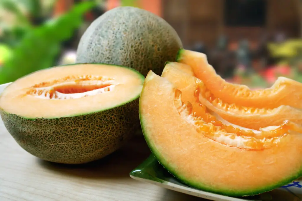 cantaloupe salmonella warning