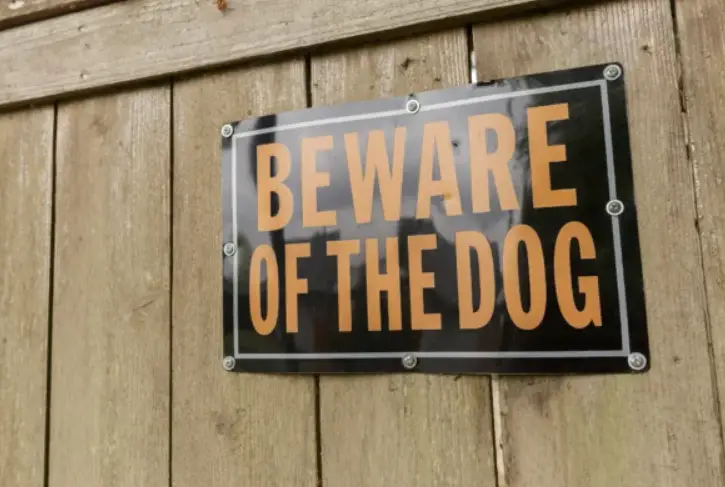 Great Danes kills woman in California