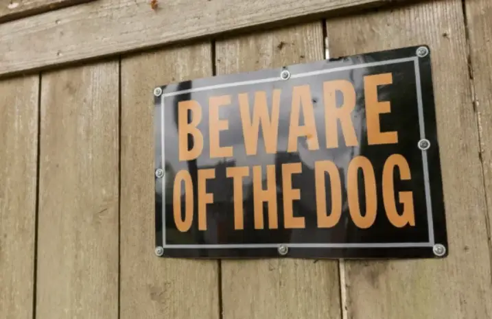 California dog attack on little girl