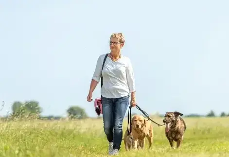 Can I sue for a dog bite case in Orange County if the dog has a prior bite history?
